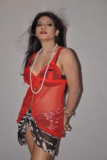 Nisha Chohan photo shoot in Mumbai on 3rd April 2013 (39).JPG